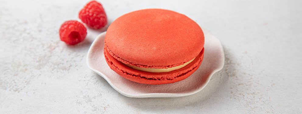 LARGE RASPBERRY CHEESECAKE MACARON 